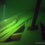 Werbellinsee, Kaffenkahnwrack "Kap Horn", Tauchen im Werbellinsee, Tauchen in Brandenburg