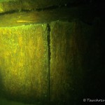 Werbellinsee, Kaffenkahnwrack "Kap Horn", Tauchen im Werbellinsee, Tauchen in Brandenburg