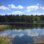 Tauchen im Waldsee Groß Düben, Tauchen in Sachsen