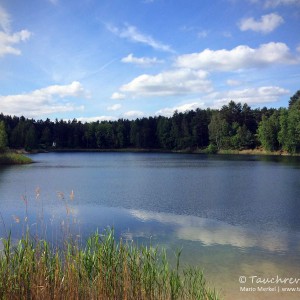 Waldsee Groß Düben