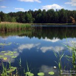 Tauchen im Waldsee Groß Düben, Tauchen in Sachsen