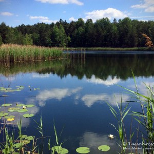Waldsee Groß Düben
