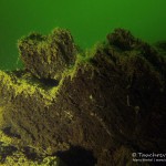 Braunkohle, Tauchen im Waldsee Groß Düben