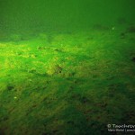 Beschaffenheit Seegrund, Tauchen im Waldsee Groß Düben