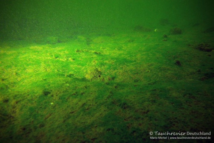 2015_06_17_Waldsee_106