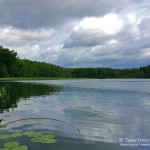 Lübbesee (Uckermark), Tauchen im Lübbesee, Tauchen in Brandenburg