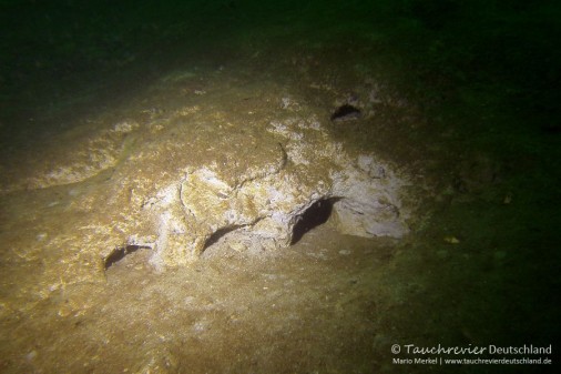 2015_07_09_Werbellinsee_200