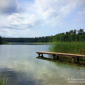 Waschsee, Mechow