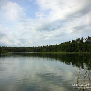 Waschsee, Mechow