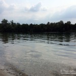 Tauchen im Baggersee Streitköpfle