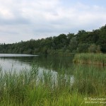 Tauchen im Baggersee Streitköpfle