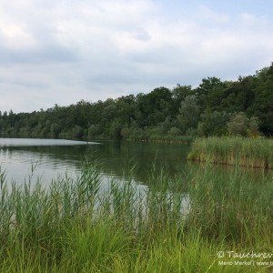 Baggersee Streitköpfle