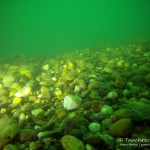 Kiesgrund, Tauchen im Baggersee Streitköpfle