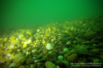 2015_08_10_BaggerseeLinkenheim_102