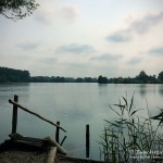 Tauchen im Brechtsee, Tauchereinstieg