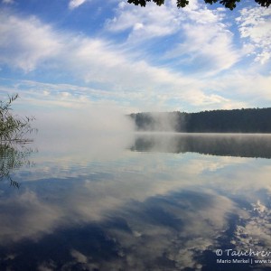 Werbellinsee, Dornbusch