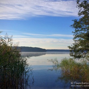 Werbellinsee, Dornbusch