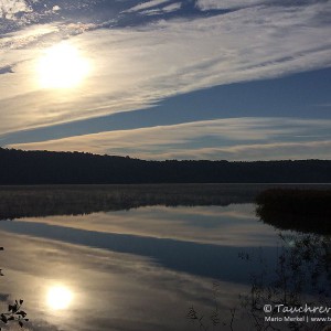 Werbellinsee, Dornbusch