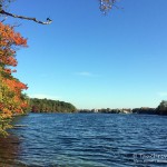 Straussee, Tauchen im Straussee, Tauchen in Brandenburg