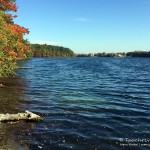 Straussee, Tauchen im Straussee, Tauchen in Brandenburg