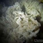 Sedimentwolke, Tauchen im Helenesee, Tauchen in Brandenburg