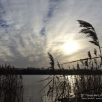 Zansen, Tauchen im Zansen, Tauchen in Mecklenburg-Vorpommern