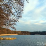 "Altes Hotel", Tauchen im Werbellinsee, Tauchen in Brandenburg