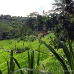 Bali, Alam Batu