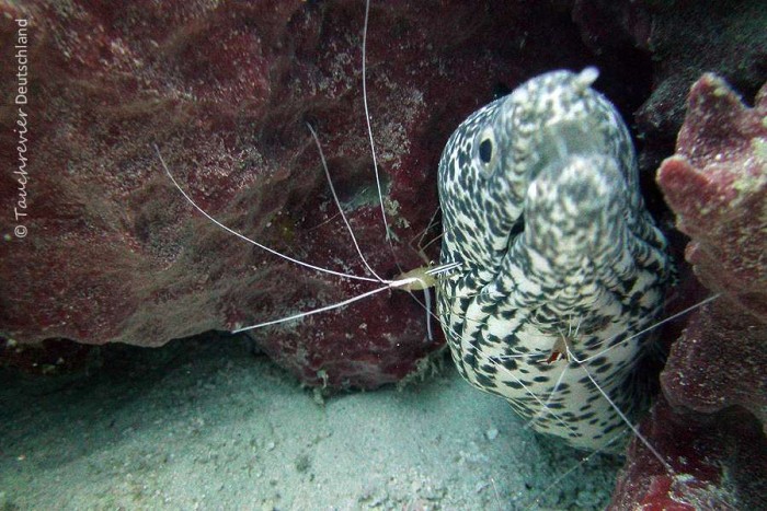 2015_Curacao_PICT0035