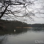 Werbellinsee, Märchenwiese, Tauchen im Werbellinsee, Tauchen in Brandenburg