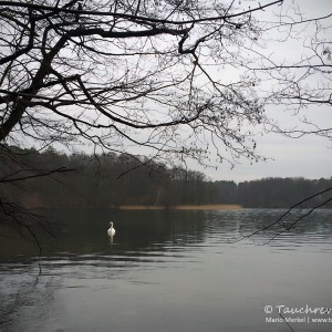 Werbellinsee, Märchenwiese