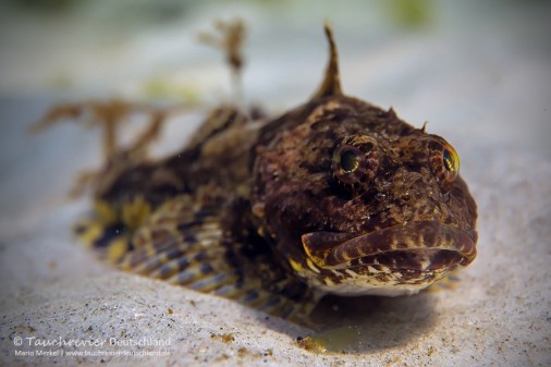 2016_04_10_Ostsee (128)