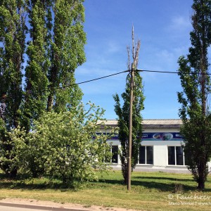 Tauchsportzentrum Nordhausen