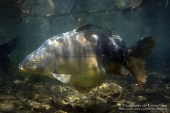 2016_05_11_SundhäuserSee (119)