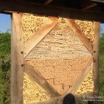 Insektenhotel, Tauchen im Möwensee, Tauchen in Thüringen