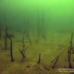 Unterwasser, Tauchen im Steinbruch Ammelshain, Tauchen in Sachsen