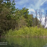 Edderitzer See, Tauchen im Edderitzer See, Tauchen in Sachsen-Anhalt