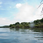 Edderitzer See, Tauchen im Edderitzer See, Tauchen in Sachsen-Anhalt