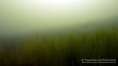 2016_06_07_Edderitz (112)