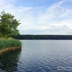 Stienitzsee, Tauchen im Stienitzsee, Tauchen in Brandenburg