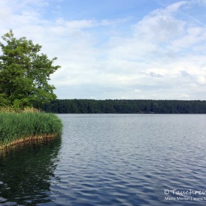 Stienitzsee