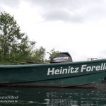 Heinitz-Forelle, Tauchen im Stienitzsee, Tauchen in Brandenburg