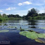 Einstieg, Flusstauchen, Tauchen in der Spree, Tauchen in Brandenburg