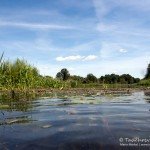 Spree, Flusstauchen, Tauchen in der Spree, Tauchen in Brandenburg