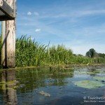 Spree, Flusstauchen, Tauchen in der Spree, Tauchen in Brandenburg