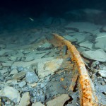 Gleis, Tauchen im Bergwerk Nuttlar, Tauchen in NRW