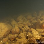 Steinfeld, Tauchen im Zansen, Tauchen in Mecklenburg-Vorpommern