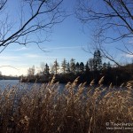 Apfelsee, Tauchen im Apfelsee, Tauchen in Brandenburg