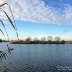 Krummer See, Tauchen im Krummer See, Tauchen in Brandenburg