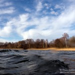 Parsteiner See, Tauchen im Parsteiner See, Tauchen in Brandenburg